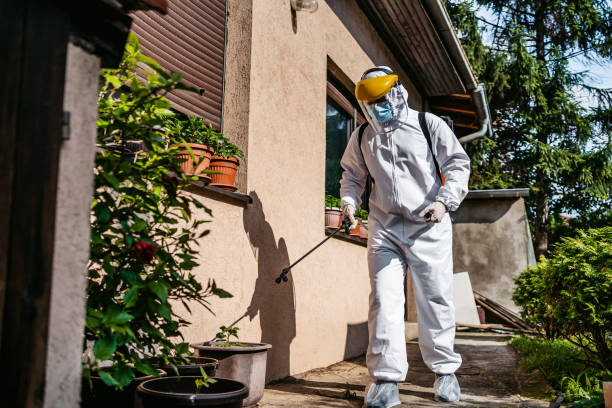 Best Best Pest Control Companies  in Cross City, FL