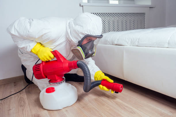 Best Affordable Pest Control Services  in Cross City, FL